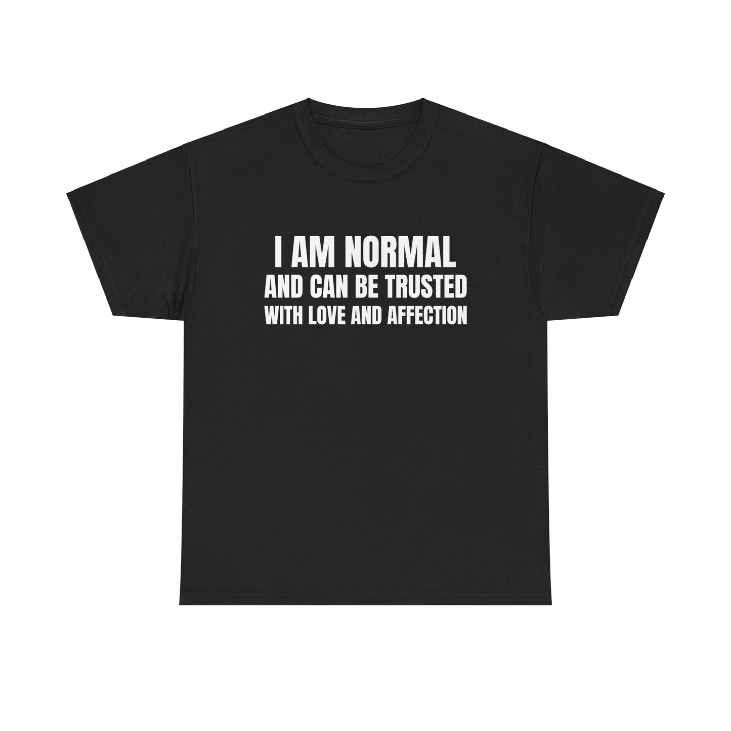 I am normal and can be trusted with love and affection Tee