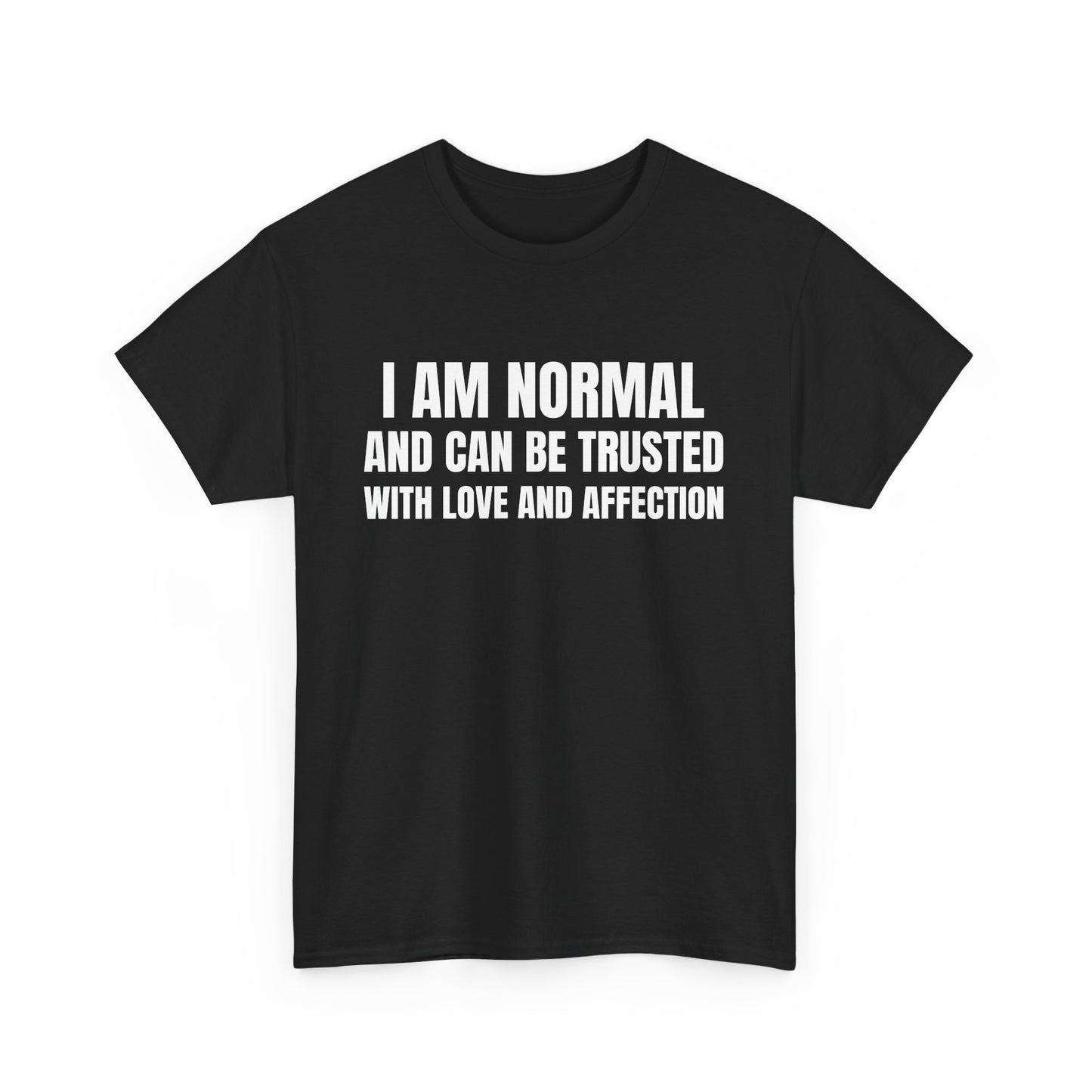 I am normal and can be trusted with love and affection Tee